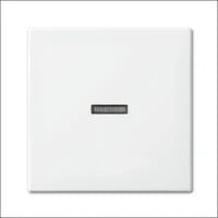 ABB BUSCH-JAEGER 2CKA001022A0656 Installationsschalter