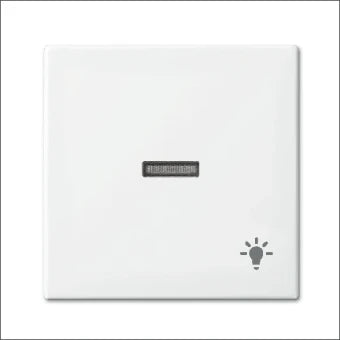 ABB BUSCH-JAEGER 2CKA001731A2017 Bedienelement / Zentralplatte Schalterprogramm 55 mm