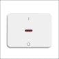 ABB BUSCH-JAEGER 2CKA001754A1769 Abdeckrahmen Schalterprogramm 11 mm