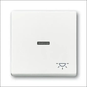 ABB BUSCH-JAEGER 2CKA001751A2753 Bedienelement / Zentralplatte Schalterprogramm 63 mm