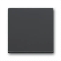 ABB BUSCH-JAEGER 2CKA001751A2934 Bedienelement / Zentralplatte Schalterprogramm 63 mm
