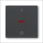 ABB BUSCH-JAEGER 2CKA001022A0656 Installationsschalter