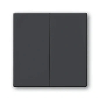 ABB BUSCH-JAEGER 2CKA001751A2930 Bedienelement / Zentralplatte Schalterprogramm 63 mm
