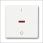 ABB BUSCH-JAEGER 2CKA001022A0656 Installationsschalter