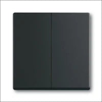 ABB BUSCH-JAEGER 2CKA001754A4714 Abdeckrahmen Schalterprogramm 11 mm