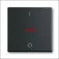 ABB BUSCH-JAEGER 2CKA001754A4437 Abdeckrahmen Schalterprogramm 11 mm