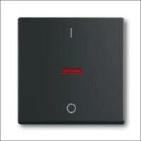 ABB BUSCH-JAEGER 2CKA001022A0656 Installationsschalter
