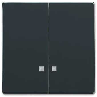 ABB BUSCH-JAEGER 2CKA001751A3121 Bedienelement / Zentralplatte Schalterprogramm 63 mm
