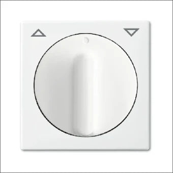 ABB BUSCH-JAEGER 2CKA001753A0231 Bedienelement / Zentralplatte Schalterprogramm 55 mm