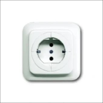 ABB BUSCH-JAEGER 2CKA002011A3629 Steckdose