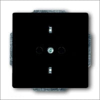 ABB BUSCH-JAEGER 2CKA001754A4418 Abdeckrahmen Schalterprogramm 11 mm