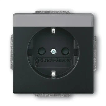 ABB BUSCH-JAEGER 2CKA002011A3884 Steckdose