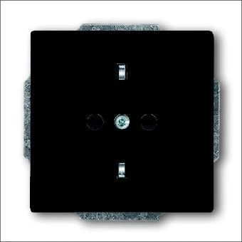 ABB BUSCH-JAEGER 2CKA002013A5265 Steckdose