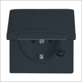 ABB BUSCH-JAEGER 2CKA002064A0290 Steckdose