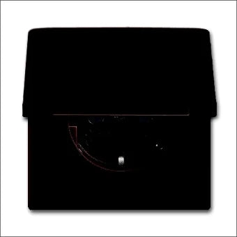 ABB BUSCH-JAEGER 2CKA002064A0291 Steckdose