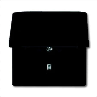 ABB BUSCH-JAEGER 2CKA002064A0295 Steckdose