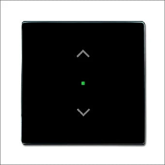 ABB BUSCH-JAEGER 2CKA006220A0038 Bedienelement / Zentralplatte Schalterprogramm 63 mm