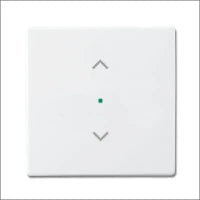 ABB BUSCH-JAEGER 2CKA006220A0046 Bedienelement / Zentralplatte Schalterprogramm 63 mm