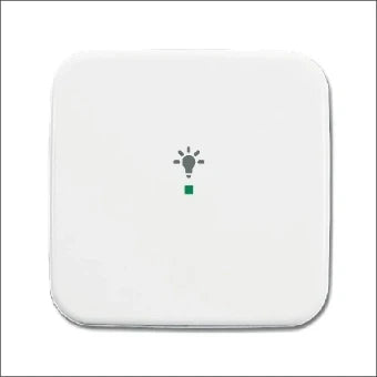 ABB BUSCH-JAEGER 2CKA006220A0080 Bedienelement / Zentralplatte Schalterprogramm 54 mm