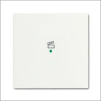 ABB BUSCH-JAEGER 2CKA001754A4421 Abdeckrahmen Schalterprogramm 11 mm