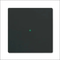 ABB BUSCH-JAEGER 2CKA006220A0510 Bedienelement / Zentralplatte Schalterprogramm
