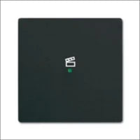 ABB BUSCH-JAEGER 2CKA001754A4415 Abdeckrahmen Schalterprogramm 11 mm