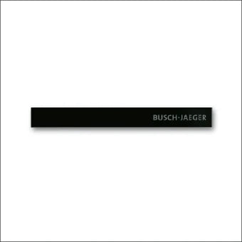ABB BUSCH-JAEGER 2CKA006310A0160 6352-825-101 Sierrand schakelmateriaal