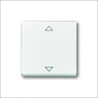 ABB BUSCH-JAEGER 2CKA006430A0326 Bedienelement / Zentralplatte Schalterprogramm 63 mm