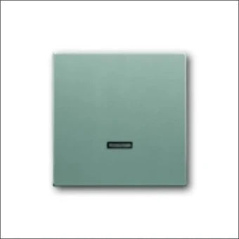 ABB BUSCH-JAEGER 2CKA006599A2887 Bedienelement / Zentralplatte Schalterprogramm 63 mm