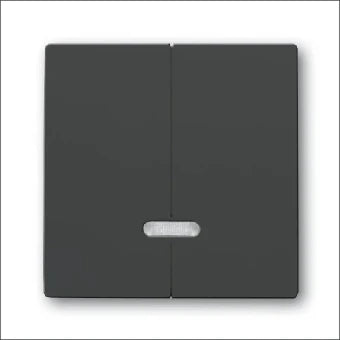 ABB BUSCH-JAEGER 2CKA006599A2906 Bedienelement / Zentralplatte Schalterprogramm 63 mm