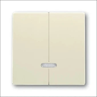 ABB BUSCH-JAEGER 2CKA006599A2907 Bedienelement / Zentralplatte Schalterprogramm 63 mm