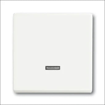 ABB BUSCH-JAEGER 2CKA006599A2963 Bedienelement / Zentralplatte Schalterprogramm 63 mm