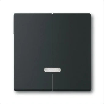 ABB BUSCH-JAEGER 2CKA006599A2969 Bedienelement / Zentralplatte Schalterprogramm 63 mm