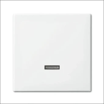 ABB BUSCH-JAEGER 2CKA006599A3018 Bedienelement / Zentralplatte Schalterprogramm 55 mm