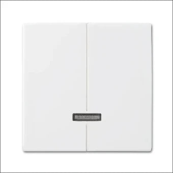 ABB BUSCH-JAEGER 2CKA006599A3019 Bedienelement / Zentralplatte Schalterprogramm 55 mm