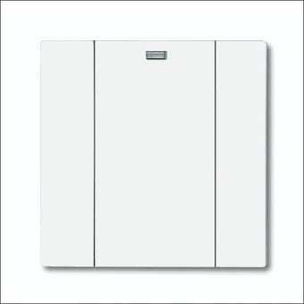 ABB BUSCH-JAEGER 2CKA006730A0038 Radiofrequent zender