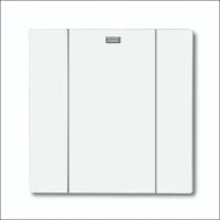 ABB BUSCH-JAEGER 2CKA006700A0023 6702-500 Elektronische schakelaar