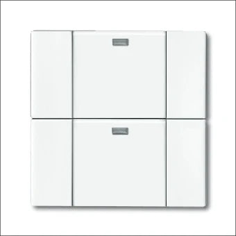 ABB BUSCH-JAEGER 2CKA006730A0039 Radiofrequent zender
