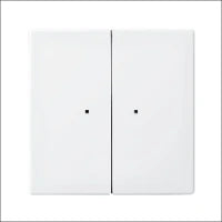 ABB BUSCH-JAEGER 2CKA006700A0041 6705-101 Jaloezie besturing