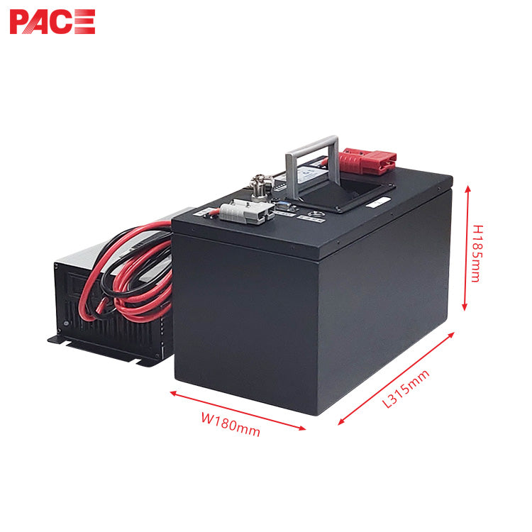 Shenzhen Pace Intelligent Control Technology Co., Ltd. - Speicher - 25.6V 60Ah LiFePO4 Battery Pack 8S60Ah-PC07-A - Art. 21295
