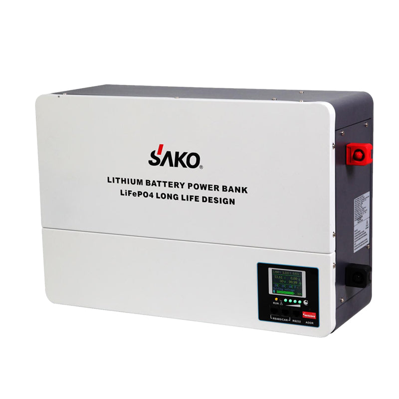 25.6V Mounted Lithium Battery Pack with CATL Cells Li-wall 51,2v100ah - Art. 28446