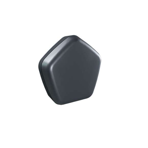 Caleffi Code Funk-Temperatursensor, schwarz