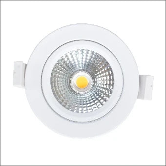 DLT 9999420 Downlight/Spot/Strahler