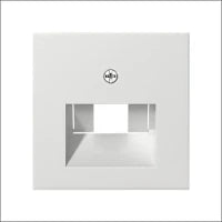GIRA 086927 Bauteil / Zentralplatte Kommunikations-Schalterprogramm