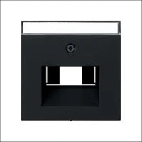 GIRA 017900 Onderdeel/centraalplaat communicatie-schakelmateriaal