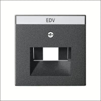 GIRA 017900 Onderdeel/centraalplaat communicatie-schakelmateriaal