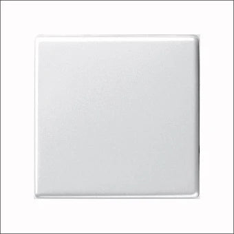 GIRA 029603 Bedienelement / Zentralplatte Schalterprogramm