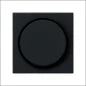 PEHA 00176911 Bedienelement / Zentralplatte Schalterprogramm 70 mm