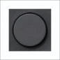 GIRA 021323 Abdeckrahmen Schalterprogramm 9.28 mm