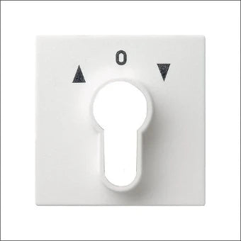 GIRA 066403 Bedienelement / Zentralplatte Schalterprogramm